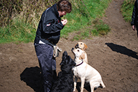 Mairead with a group of sitting dogs. Copyright You And Your Dog